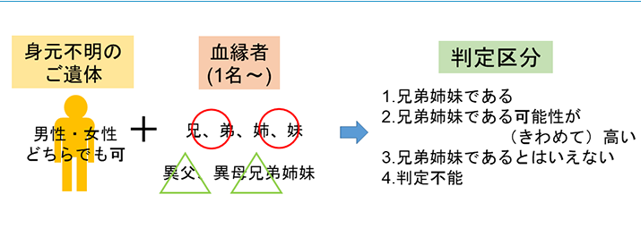 兄弟DNAのまとめ