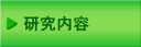 研究内容