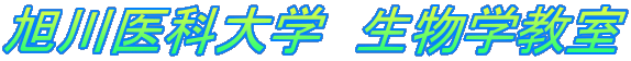 ȑw@w