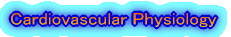 Cardiovascular Physiology