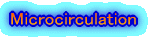 Microcirculation