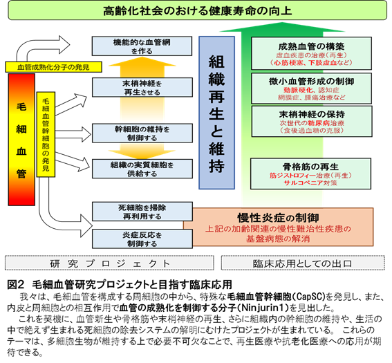 fig2