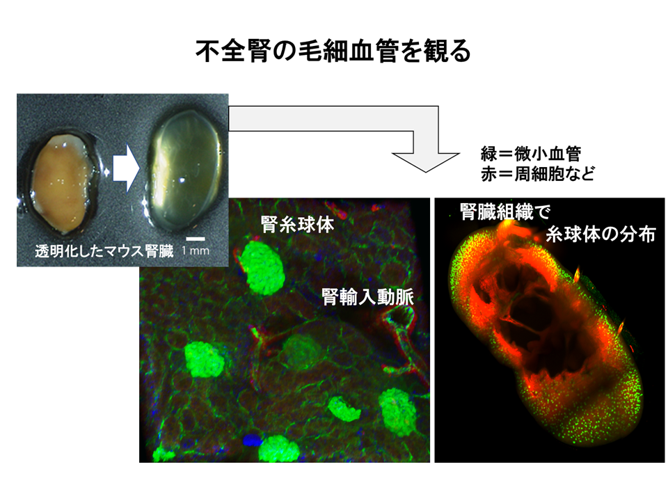 Fig3-2