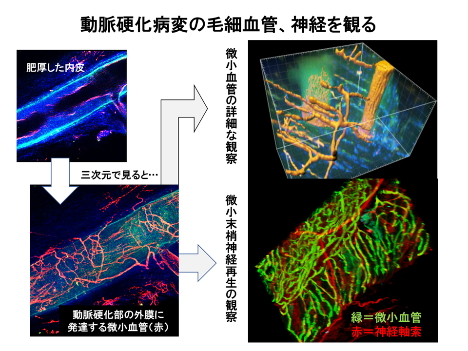 Fig3-3