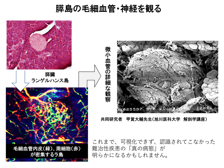 Fig3-4