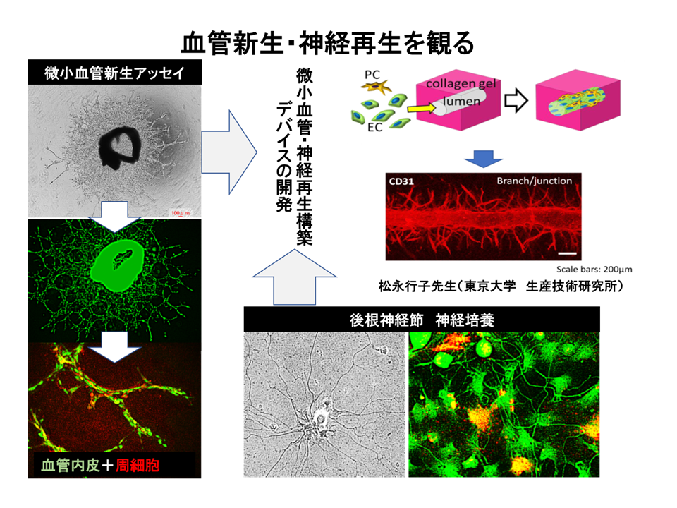 Fig3-5