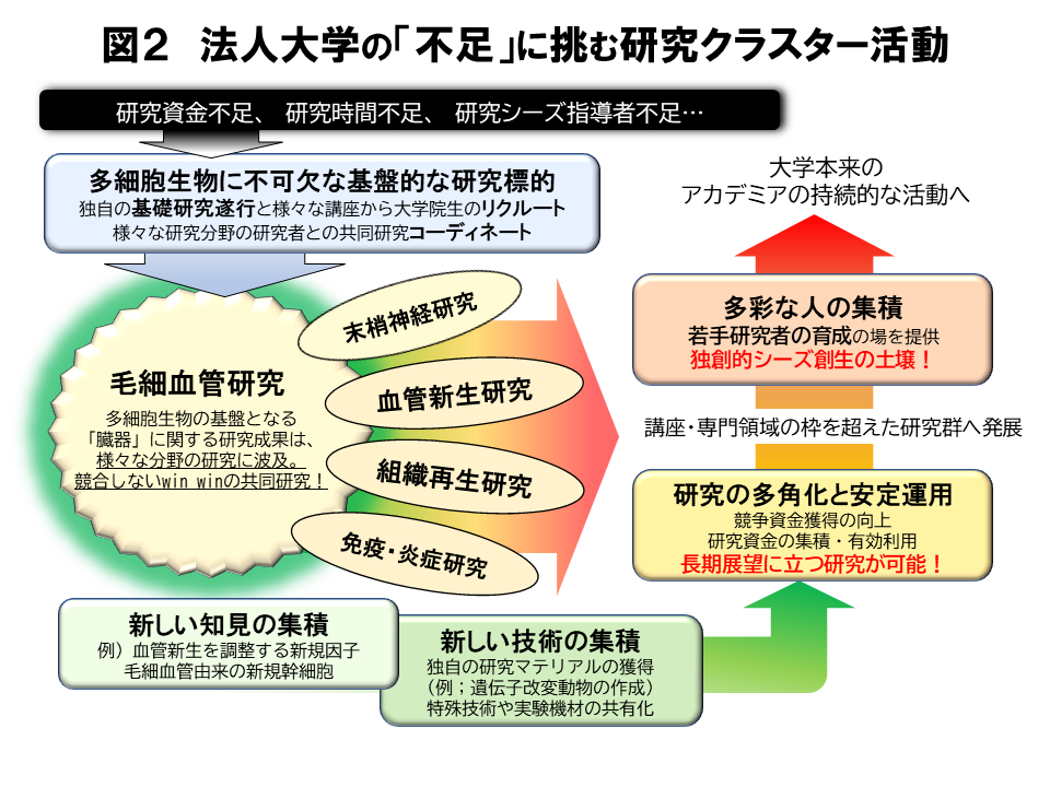 図2 毛細血管研究所の展望!