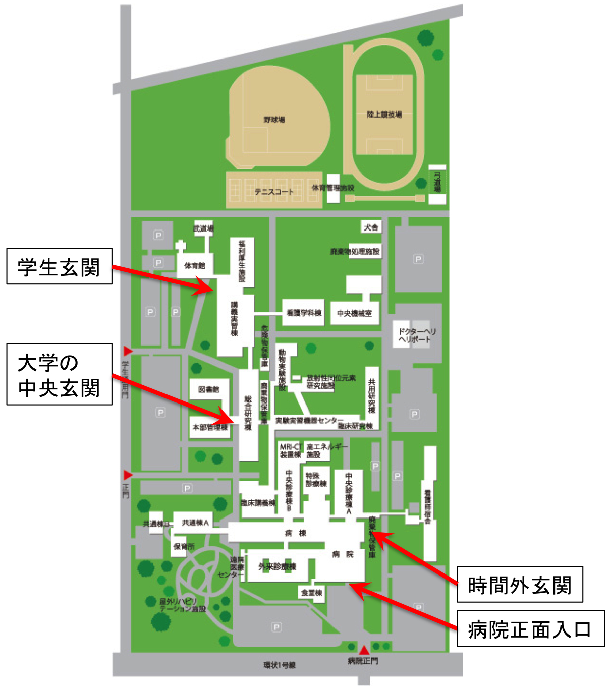 旭川医科大学構内の地図