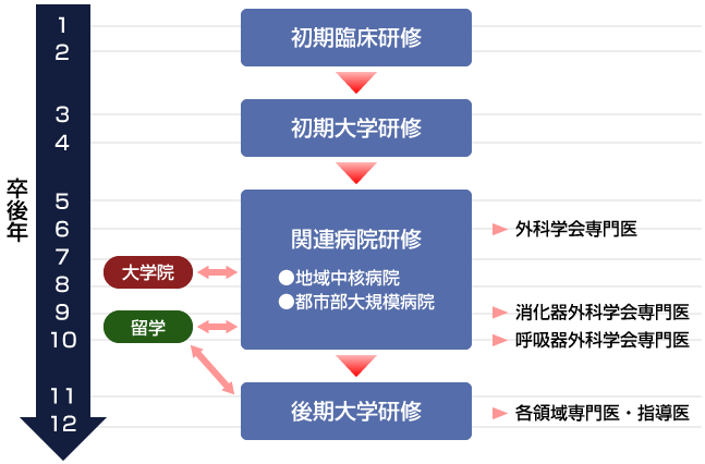 研修過程