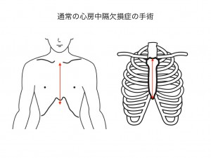 図1