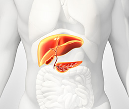 肝胆膵・移植外科学分野