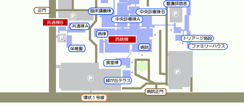 経営企画部の地図