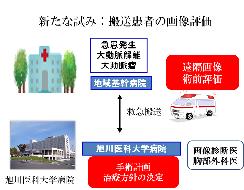 【図4】搬送患者の画像評価 【図4】搬送患者の画像評価