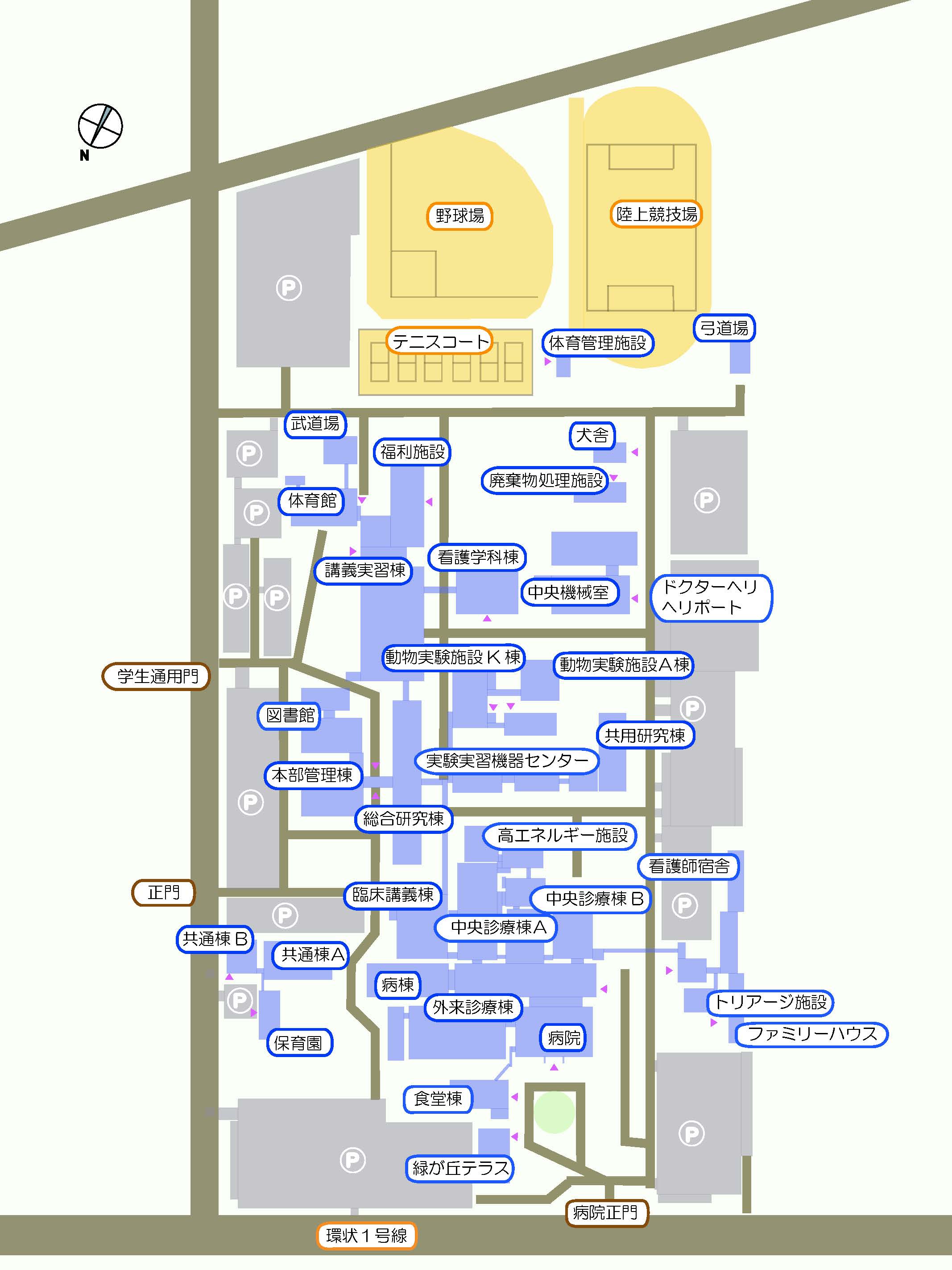 国立大学法人 旭川医科大学