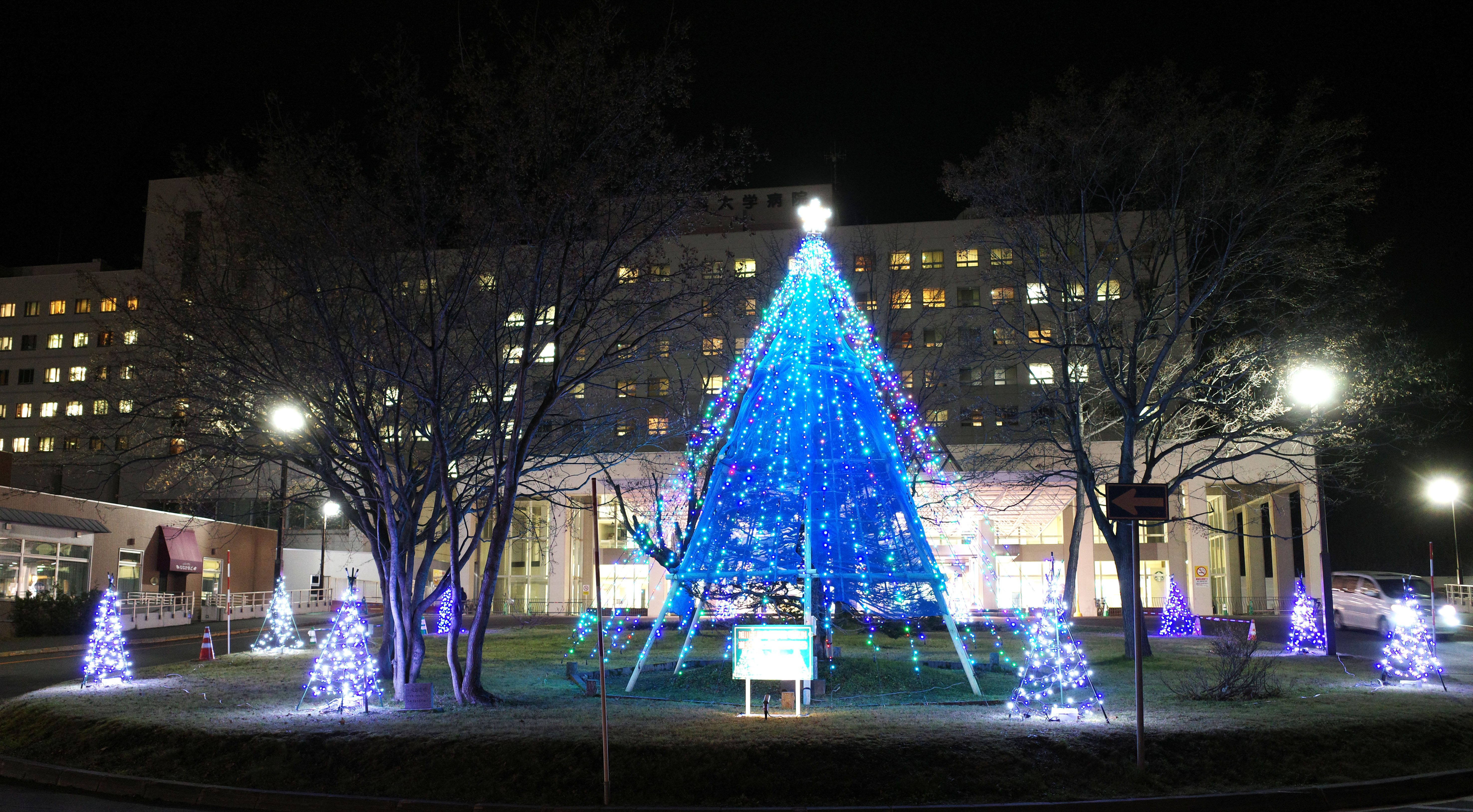 20221129_旭川工業高校の生徒さんらによるイルミネーションの設置について01.jpg