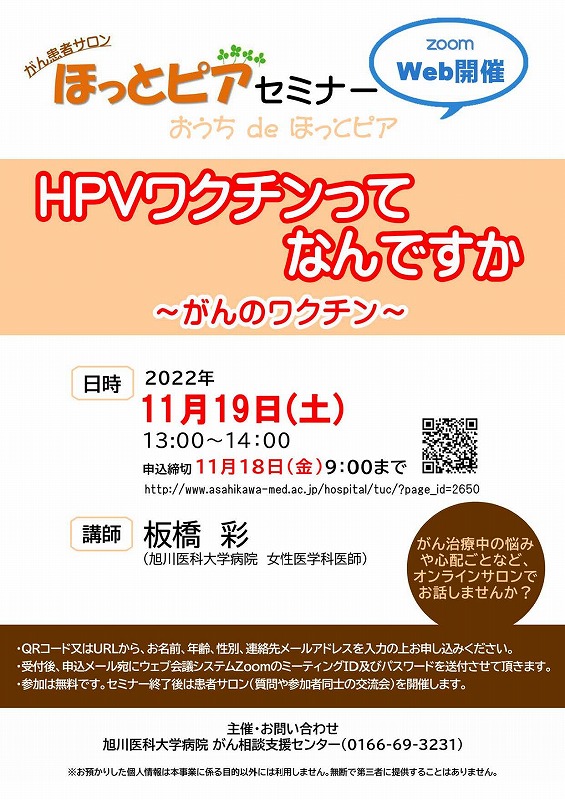 ほっとピアセミナー（11/19）