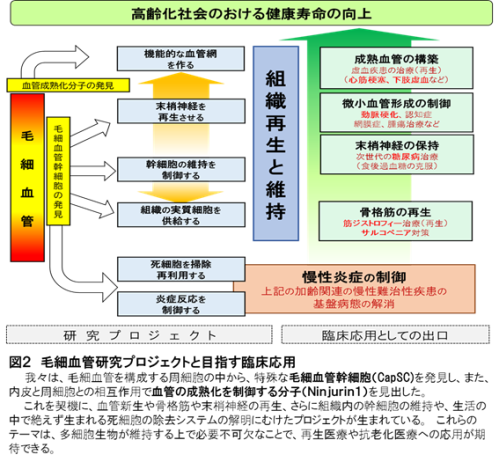 kiso_togo02.png