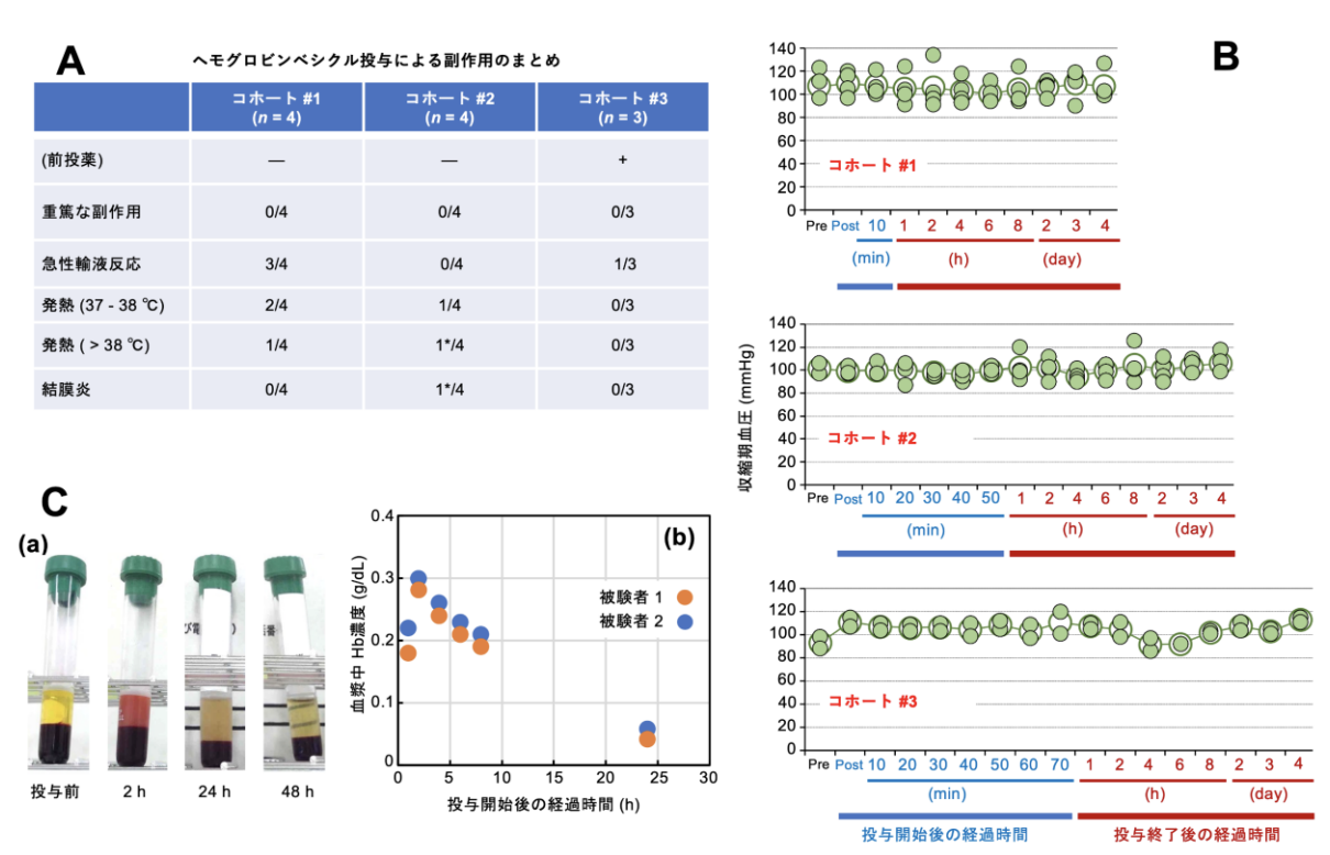 図 1 A：ヘモグロビンベシクル投与による副作用のまとめ。B：投与後の収縮期血圧の変化。 C：投与後採血液の色調の変化と、血中半減期 (8-9 時間)の推定。